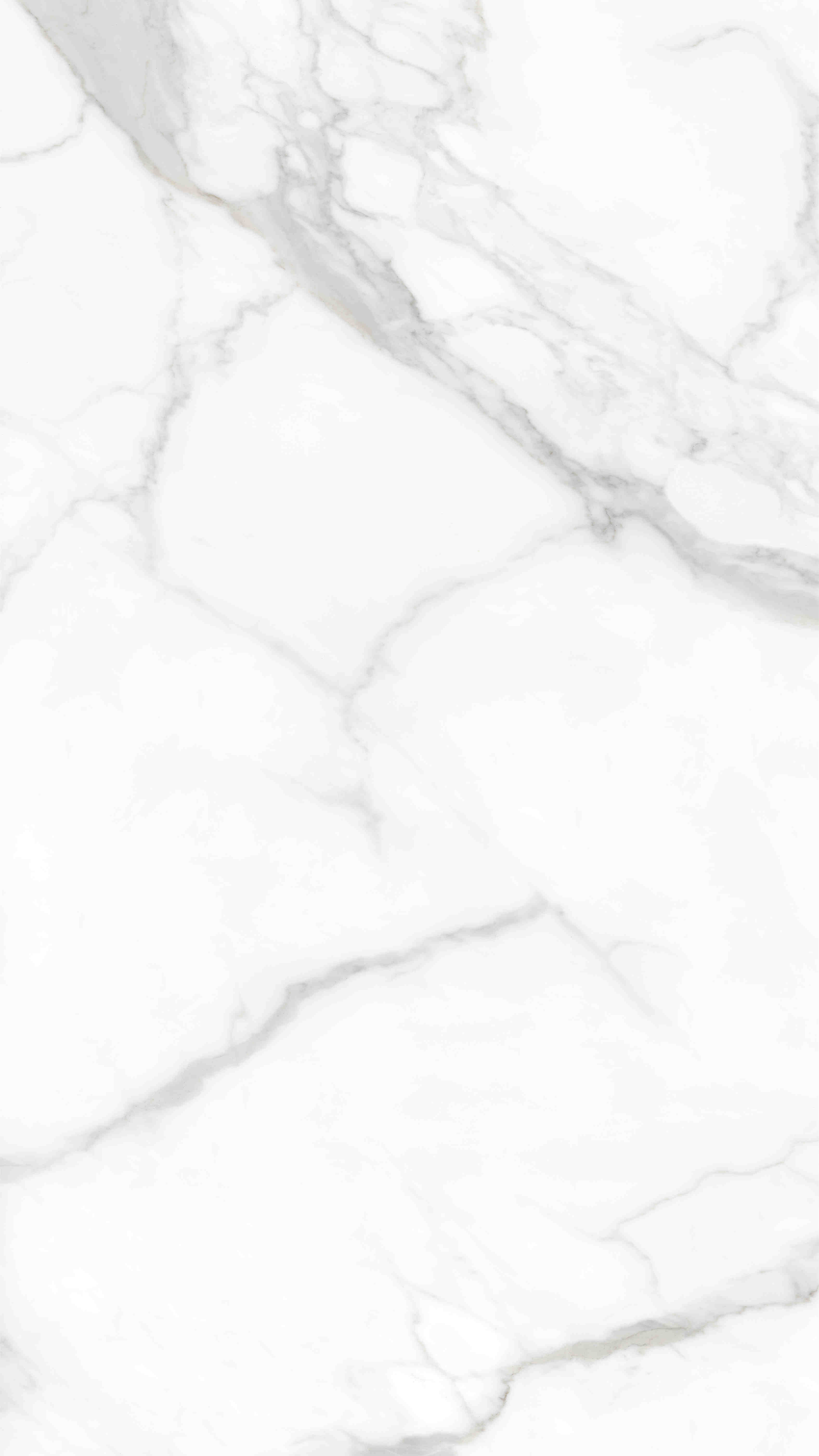 2-MKG1224850-1.jpg