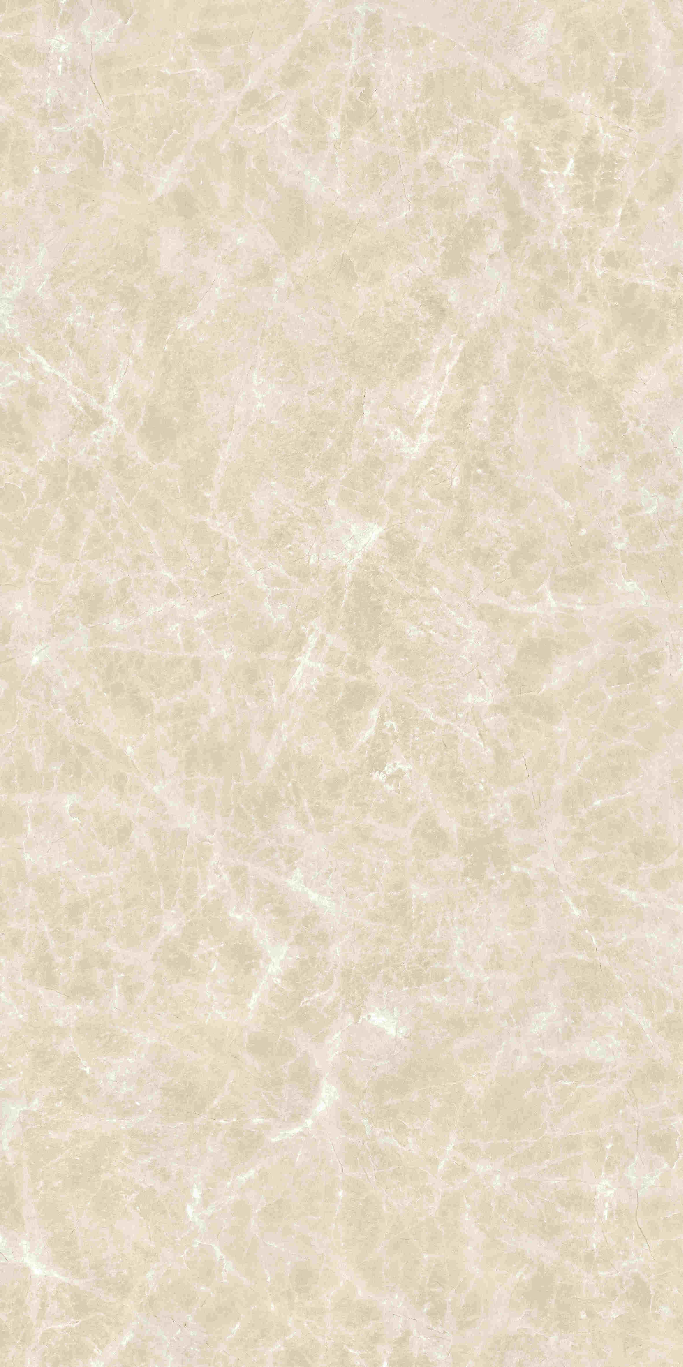 2-MKG612570.jpg