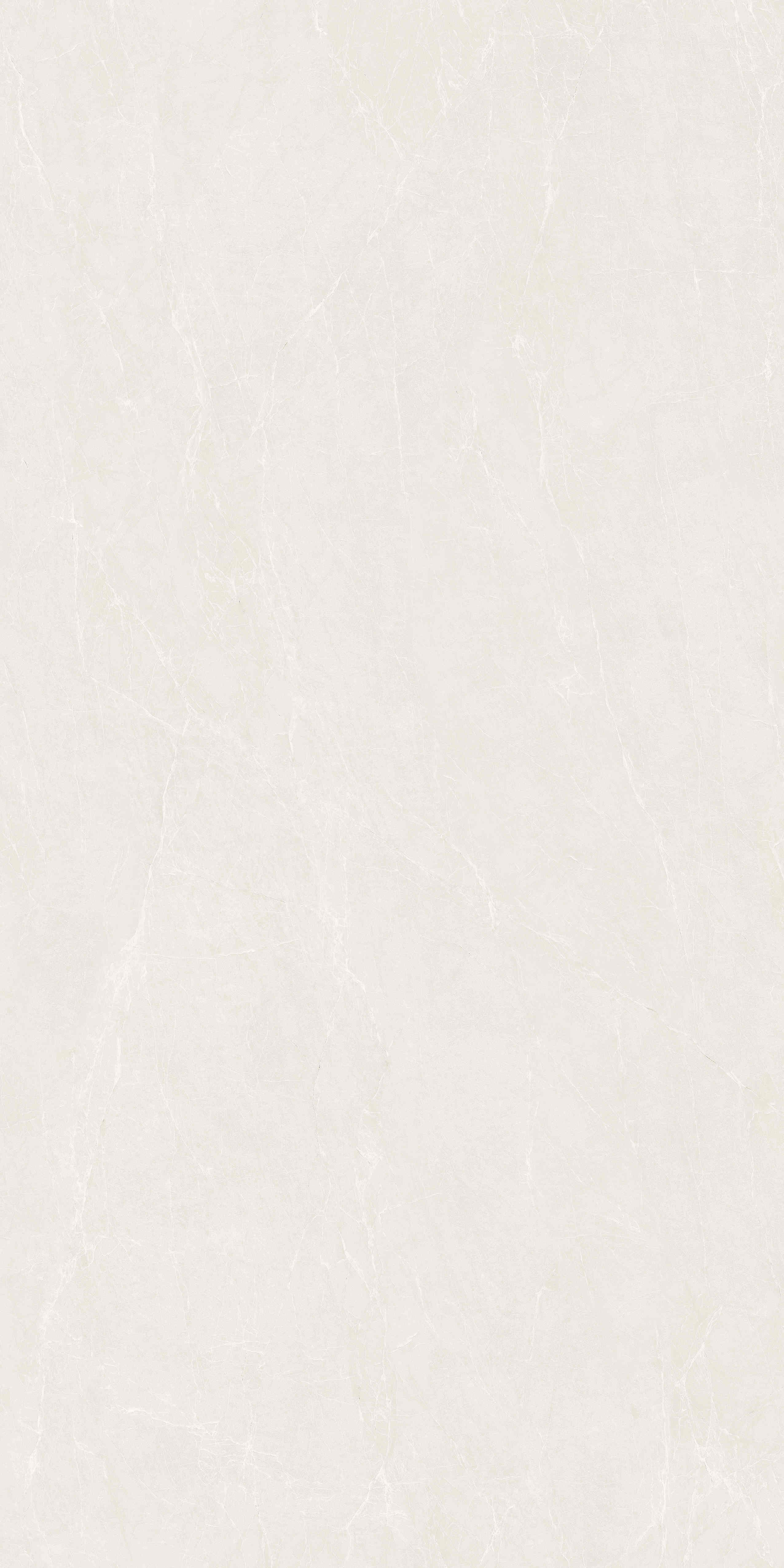 2-JKY918167-A.jpg