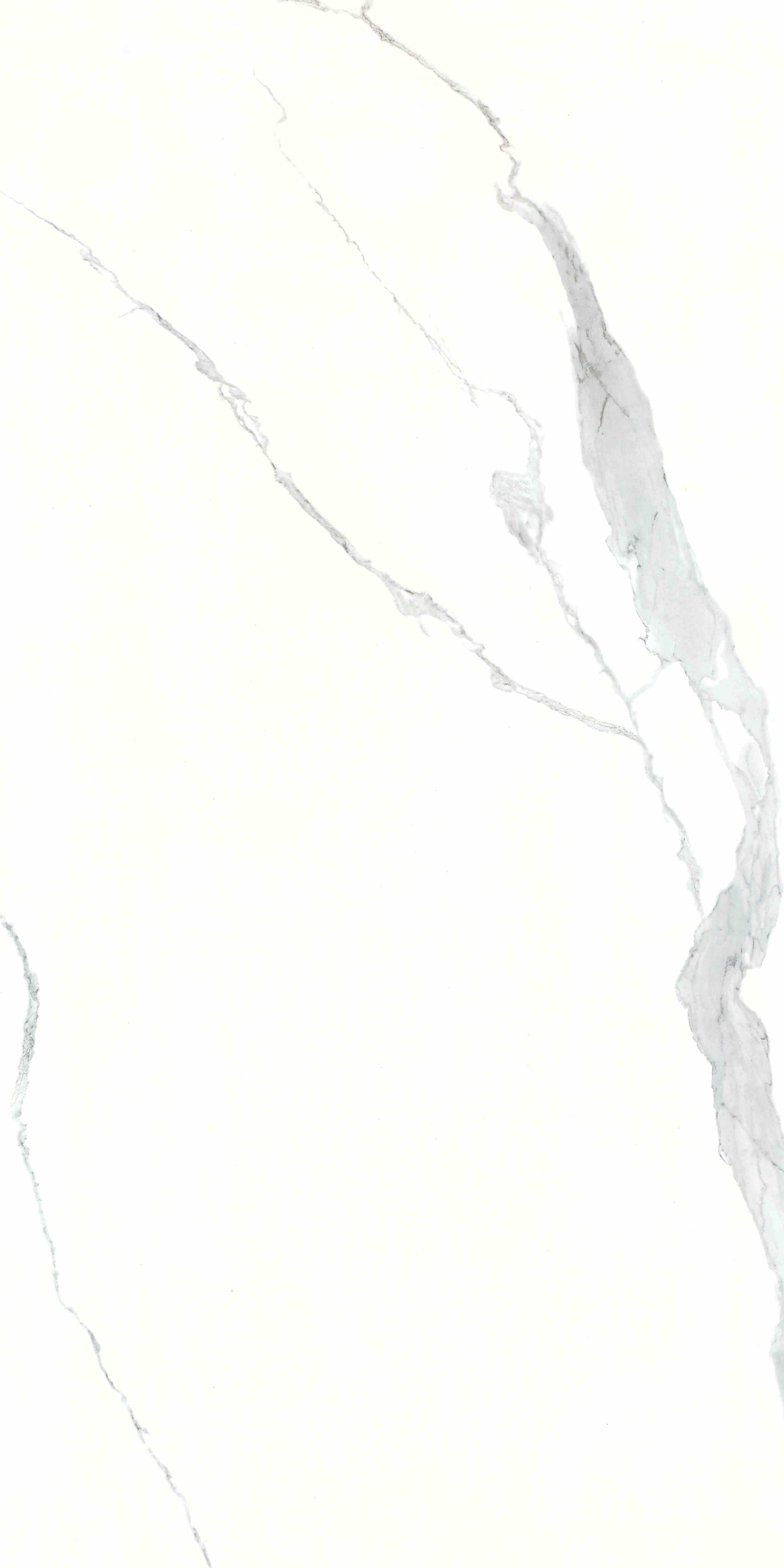 2-MKG918760-2.jpg