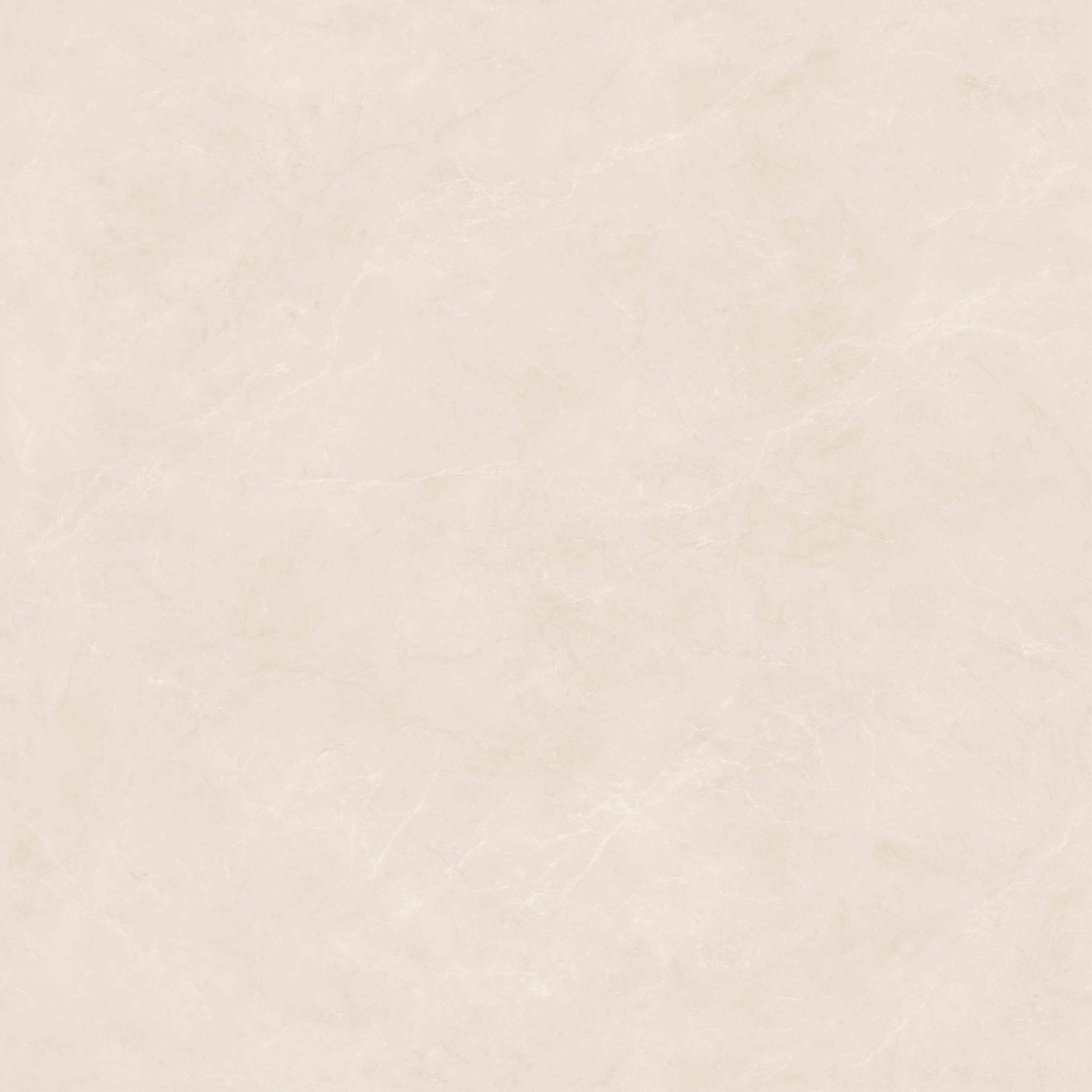 2-JTE80358-A.jpg