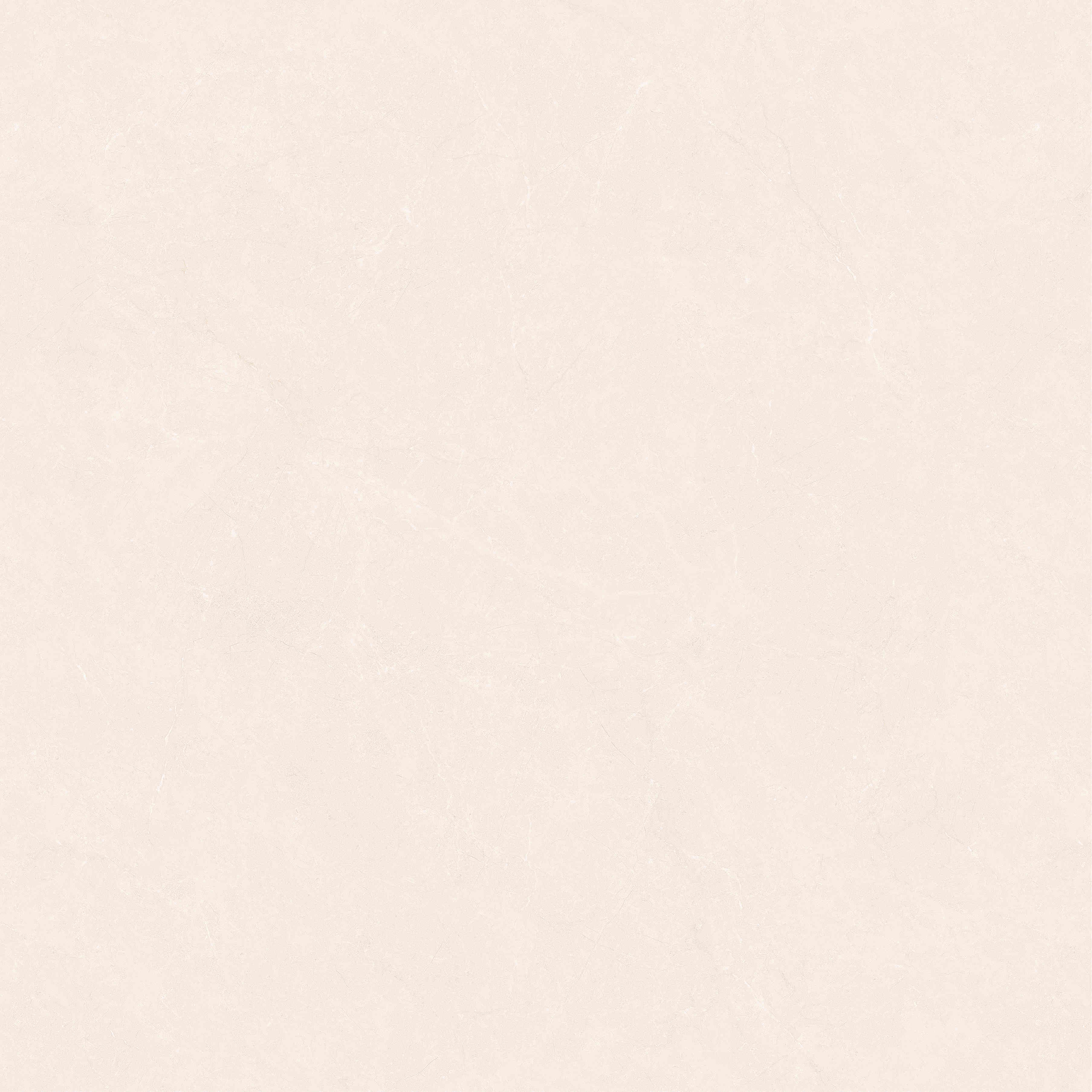 2-JTE80359-A.jpg